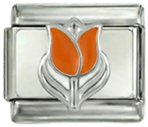 Hollandsk tulipan