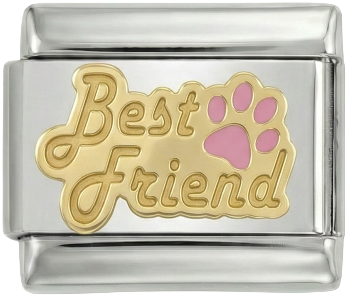 Best Friend Paw Silver - best-friend-paw-silver.png