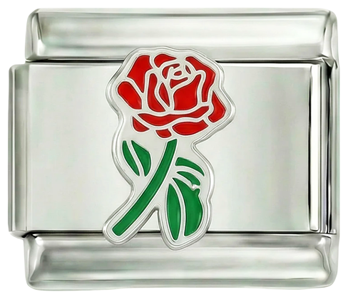 Hel rød rose med sin grønne stilk